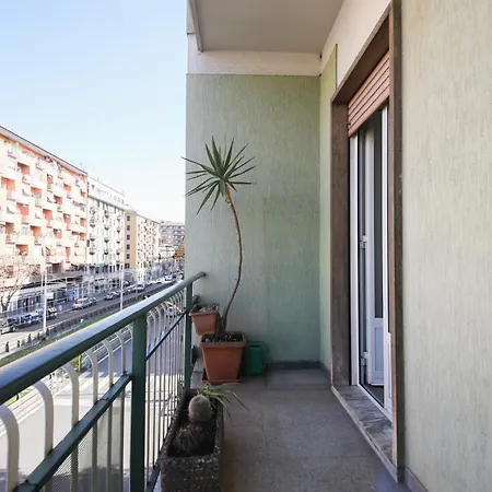 Domus Alexander By Ghor